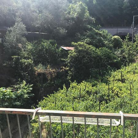 فيلا Emilio House ليفانتو المظهر الخارجي الصورة